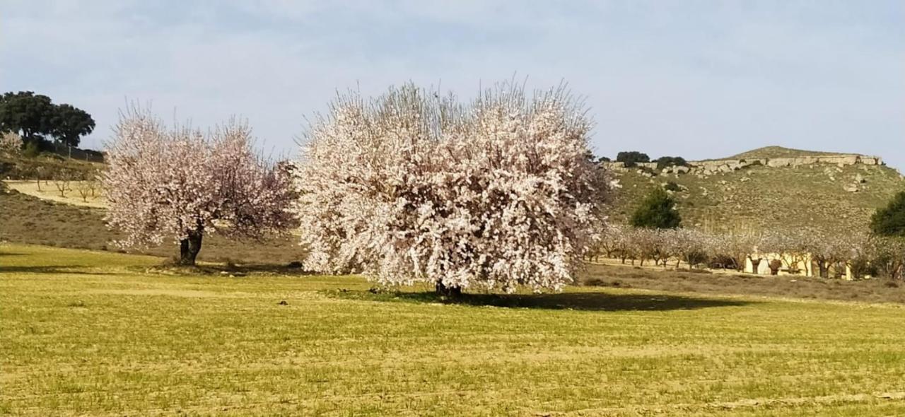Casa Rural La Galana Albacete Chinchilla de Montearagón Dış mekan fotoğraf