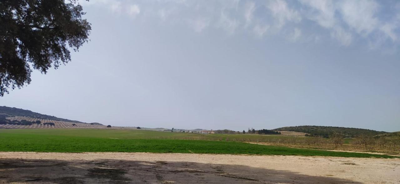 Casa Rural La Galana Albacete Chinchilla de Montearagón Dış mekan fotoğraf